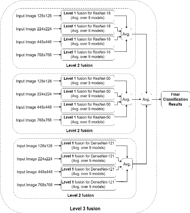 Figure 1 for Investigating and Exploiting Image Resolution for Transfer Learning-based Skin Lesion Classification