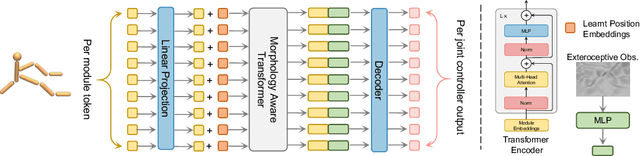 Figure 3 for MetaMorph: Learning Universal Controllers with Transformers