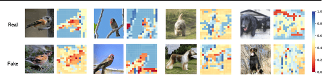 Figure 1 for Feature Quantization Improves GAN Training