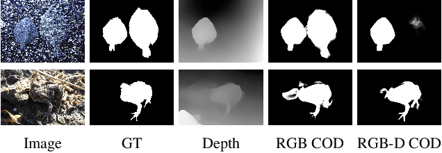 Figure 1 for Depth-Guided Camouflaged Object Detection