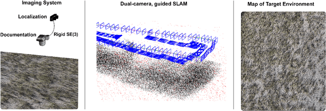 Figure 1 for High-resolution Ecosystem Mapping in Repetitive Environments Using Dual Camera SLAM
