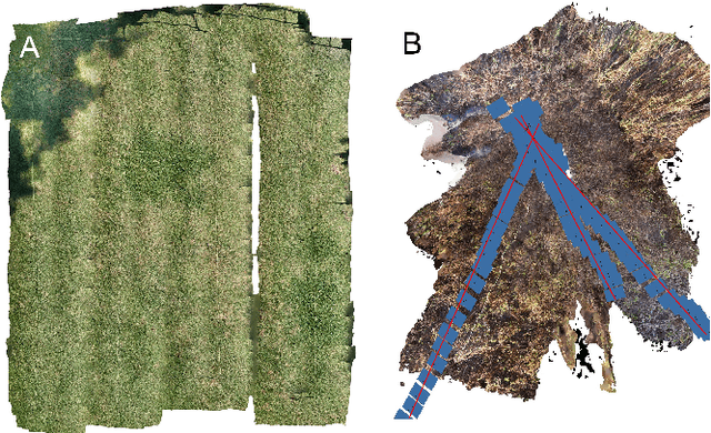 Figure 4 for High-resolution Ecosystem Mapping in Repetitive Environments Using Dual Camera SLAM