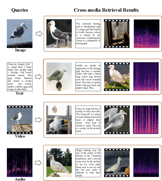 Figure 1 for A New Benchmark and Approach for Fine-grained Cross-media Retrieval