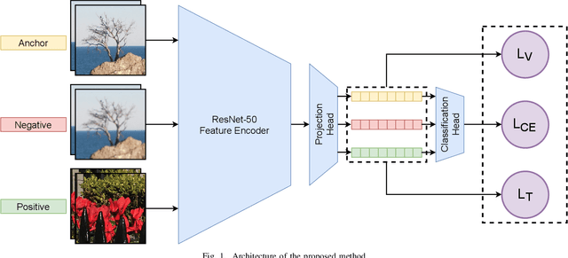 Figure 1 for Combining Contrastive and Supervised Learning for Video Super-Resolution Detection