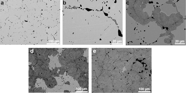 Figure 1 for An image-driven machine learning approach to kinetic modeling of a discontinuous precipitation reaction