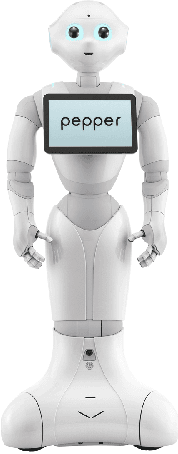 Figure 1 for Setting Up Pepper For Autonomous Navigation And Personalized Interaction With Users