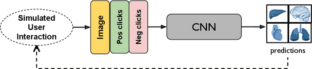 Figure 3 for MONAI Label: A framework for AI-assisted Interactive Labeling of 3D Medical Images