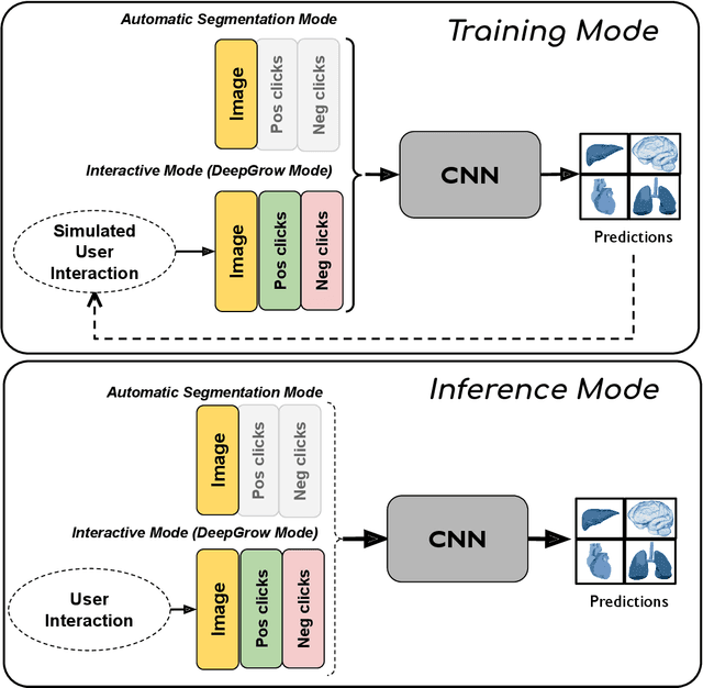 Figure 4 for MONAI Label: A framework for AI-assisted Interactive Labeling of 3D Medical Images