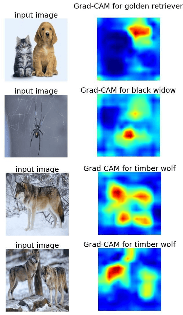 Figure 1 for Enhancing Deep Neural Network Saliency Visualizations with Gradual Extrapolation