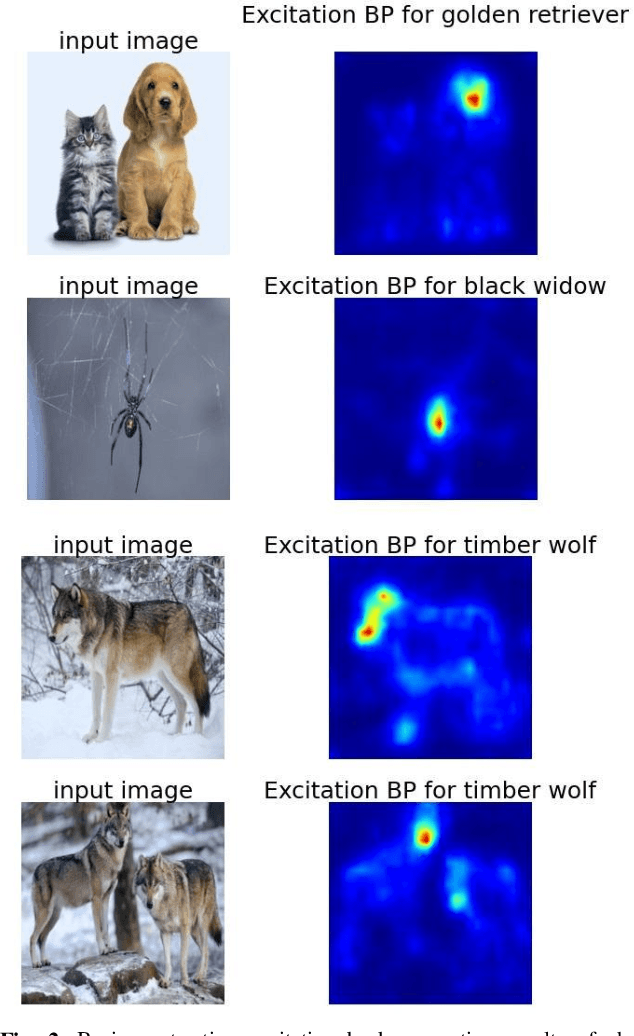 Figure 3 for Enhancing Deep Neural Network Saliency Visualizations with Gradual Extrapolation