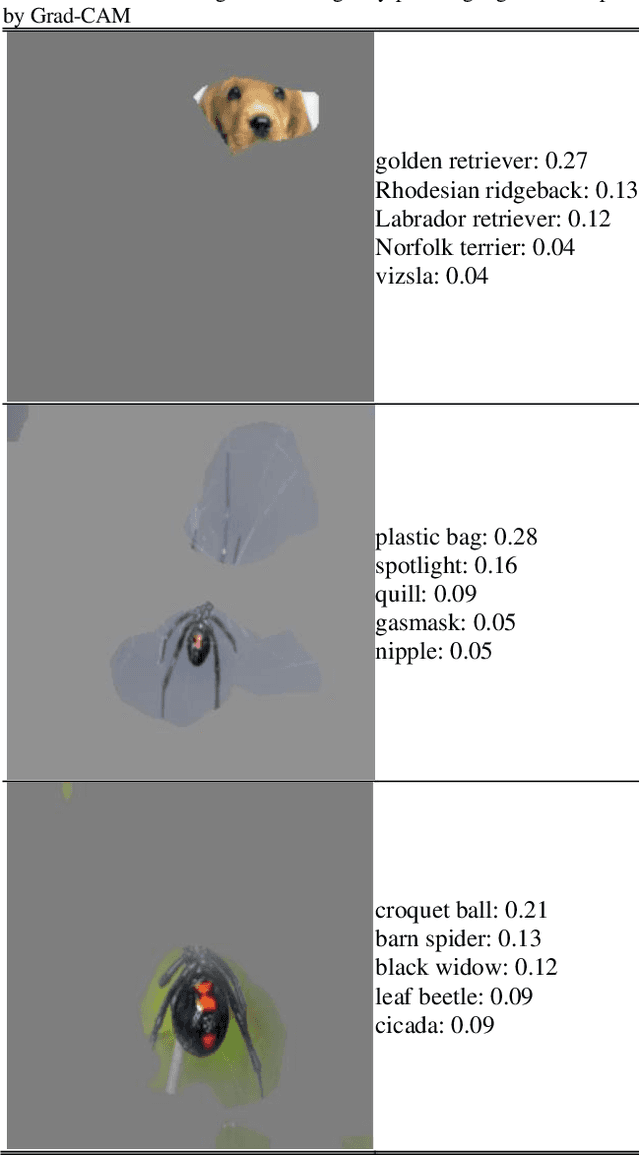 Figure 4 for Enhancing Deep Neural Network Saliency Visualizations with Gradual Extrapolation