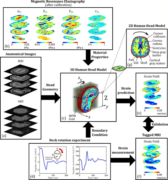 Figure 1 for Data-driven Uncertainty Quantification in Computational Human Head Models