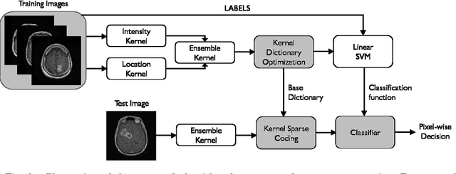 Figure 4 for Kernel Sparse Models for Automated Tumor Segmentation