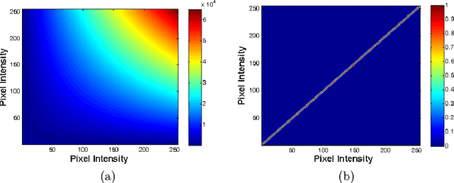 Figure 1 for Kernel Sparse Models for Automated Tumor Segmentation