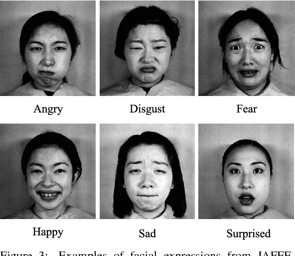 Figure 4 for Spontaneous Facial Expression Recognition using Sparse Representation