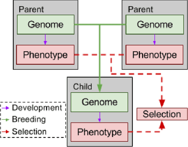 Figure 4 for Modeling the Evolution of Gene-Culture Divergence