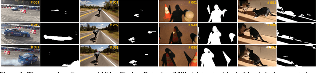 Figure 1 for Triple-cooperative Video Shadow Detection