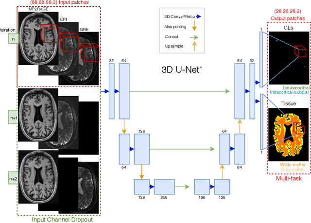 Figure 2 for Automated Detection of Cortical Lesions in Multiple Sclerosis Patients with 7T MRI