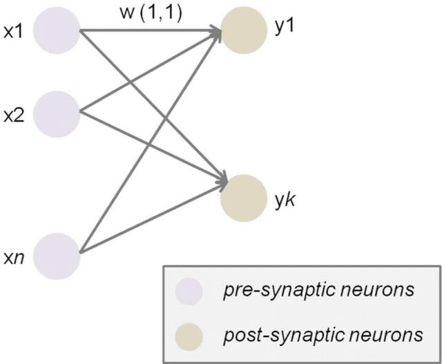 Figure 1 for From Biological Synapses to Intelligent Robots