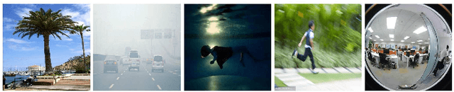 Figure 1 for Effects of Image Degradations to CNN-based Image Classification