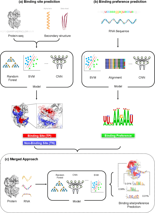 Figure 3 for Protein-RNA interaction prediction with deep learning: Structure matters