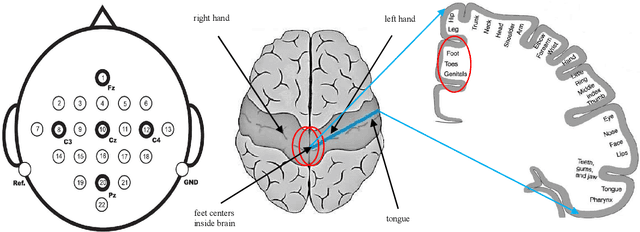 Figure 1 for Generating Ten BCI Commands Using Four Simple Motor Imageries