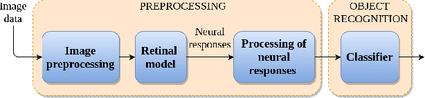 Figure 1 for Machine Learning Method for Functional Assessment of Retinal Models