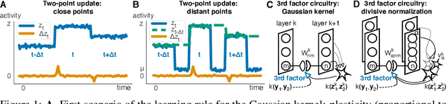 Figure 1 for Kernelized information bottleneck leads to biologically plausible 3-factor Hebbian learning in deep networks