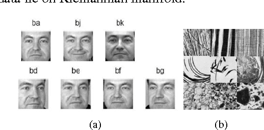 Figure 3 for Kernel Sparse Subspace Clustering on Symmetric Positive Definite Manifolds