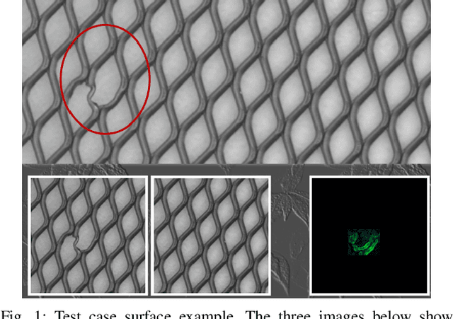 Figure 1 for Distance-Based Anomaly Detection for Industrial Surfaces Using Triplet Networks