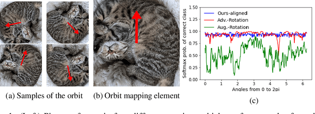 Figure 1 for Training or Architecture? How to Incorporate Invariance in Neural Networks