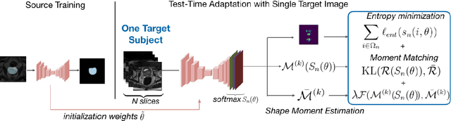 Figure 1 for Test-Time Adaptation with Shape Moments for Image Segmentation