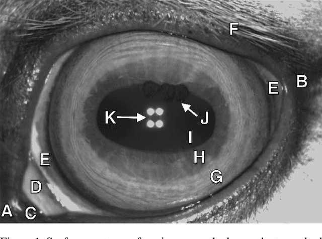 Figure 1 for Iris and periocular recognition in arabian race horses using deep convolutional neural networks