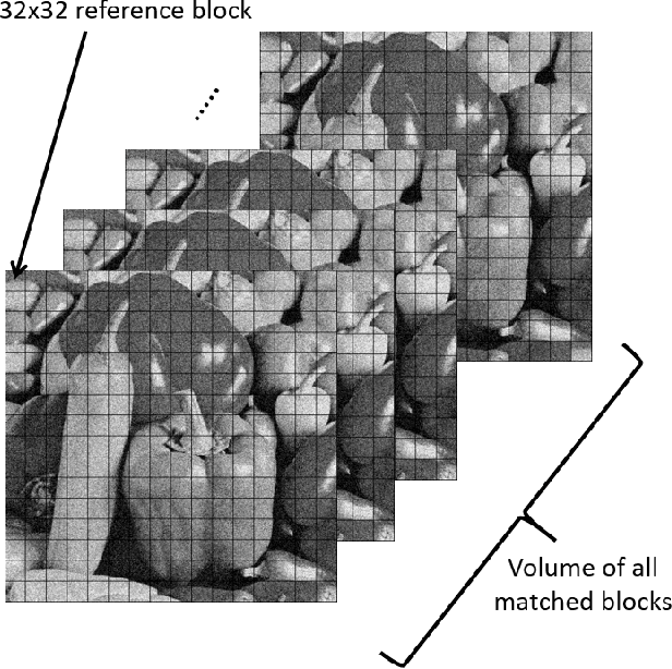 Figure 3 for New Computational Techniques for a Faster Variation of BM3D Image Denoising