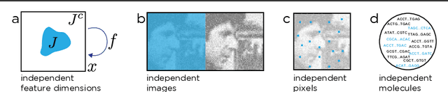 Figure 1 for Noise2Self: Blind Denoising by Self-Supervision