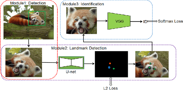 Figure 3 for Distinguishing Individual Red Pandas from Their Faces