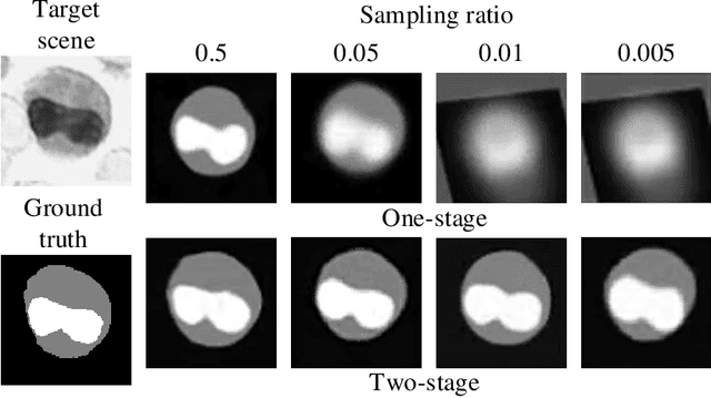 Figure 4 for Image-free single-pixel segmentation