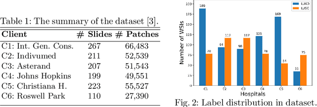 Figure 2 for Cluster Based Secure Multi-Party Computation in Federated Learning for Histopathology Images