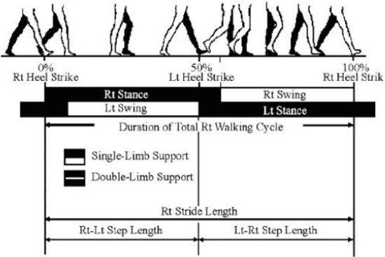 Figure 3 for Towards Human Body-Part Learning for Model-Free Gait Recognition