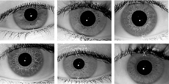 Figure 4 for DeepIris: Iris Recognition Using A Deep Learning Approach
