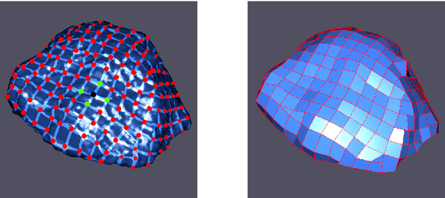 Figure 1 for A new geodesic-based feature for characterization of 3D shapes: application to soft tissue organ temporal deformations