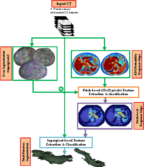 Figure 3 for A Bottom-Up Approach for Automatic Pancreas Segmentation in Abdominal CT Scans
