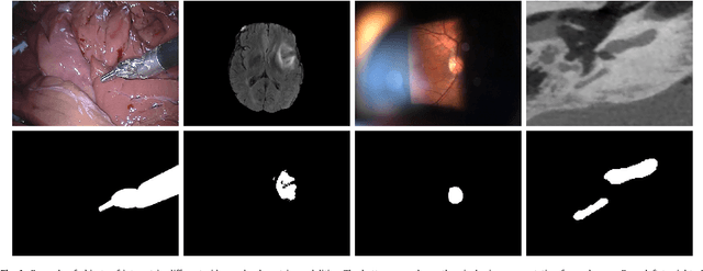 Figure 1 for Iterative multi-path tracking for video and volume segmentation with sparse point supervision