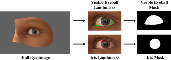 Figure 4 for Multistream Gaze Estimation with Anatomical Eye Region Isolation by Synthetic to Real Transfer Learning
