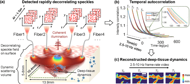Figure 1 for Imaging dynamics beneath turbid media via parallelized single-photon detection