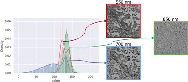 Figure 3 for SpecTr: Spectral Transformer for Hyperspectral Pathology Image Segmentation
