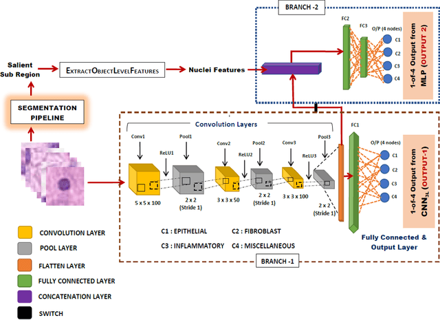 Figure 3 for Cell nuclei classification in histopathological images using hybrid OLConvNet