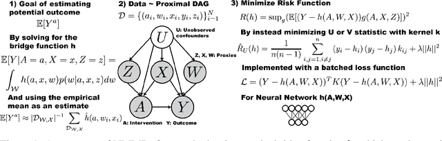 Figure 1 for Deep Learning Methods for Proximal Inference via Maximum Moment Restriction