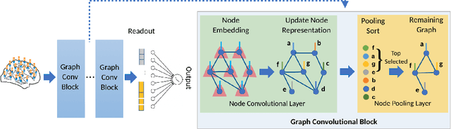 Figure 3 for Pooling Regularized Graph Neural Network for fMRI Biomarker Analysis