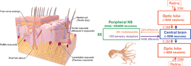 Figure 1 for New Directions: Wireless Robotic Materials